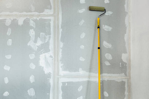 Mold Remediation for Rental Properties in Davie, FL