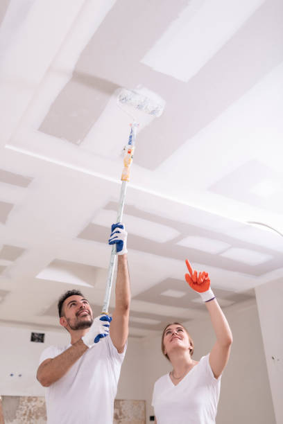  Davie, FL Mold Removal Pros