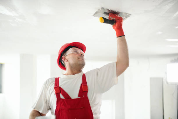 Best Mold Prevention Services  in Davie, FL