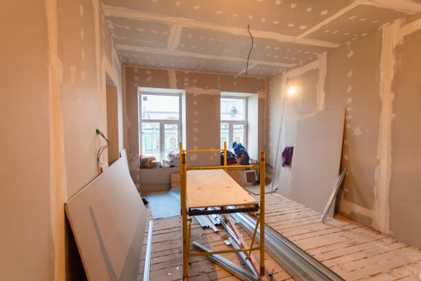 Best Water Damage & Mold Remediation  in Davie, FL