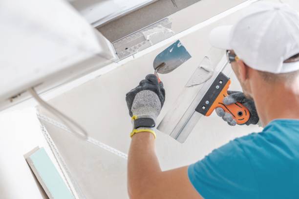 Professional Mold Removal in Davie, FL